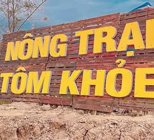 Nông Trại Tôm Khỏe