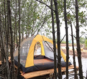 Nông Trại Tôm Khỏe