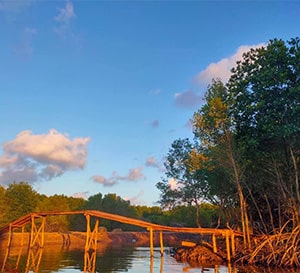 Nông Trại Tôm Khỏe