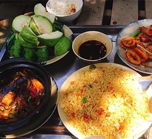 Nông Trại Tôm Khỏe