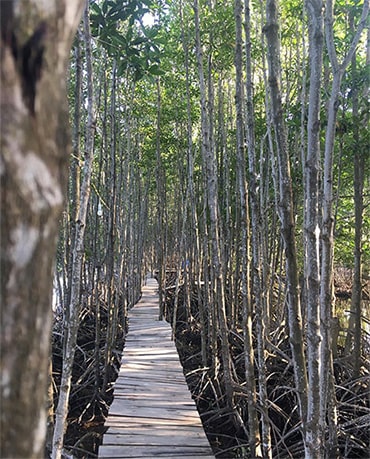 Nông trại Tôm Khỏe